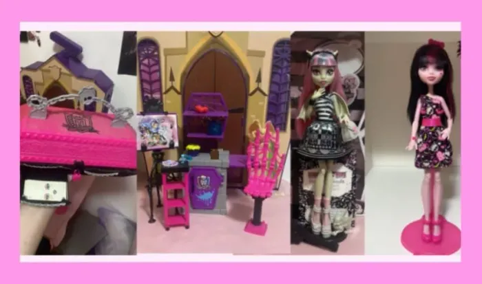 Divisão de lote de bonecas monster high 