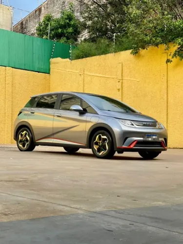 BYD Dolphin GS 2024