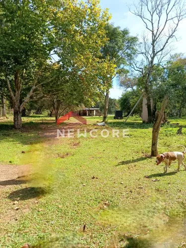 Chácara em Municipal - Neópolis - Gravataí/RS