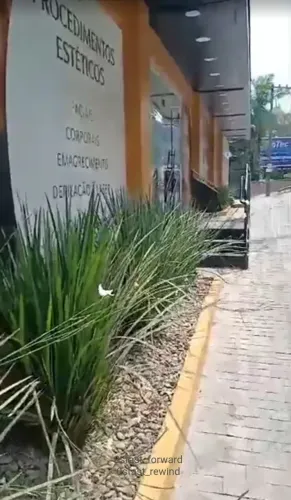 Vendo clínicas de estética completa , operando e faturando muitoooo ( equipe de 3 anos )