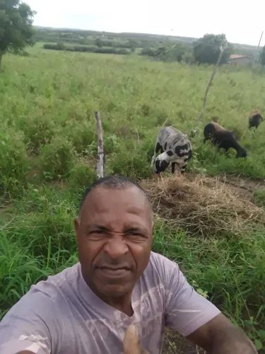 VENDO UMA FAZENDA EM NOVA SOURE BAHIA COM 85 TAREFAS