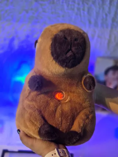 Capivara com efeito Sonoros