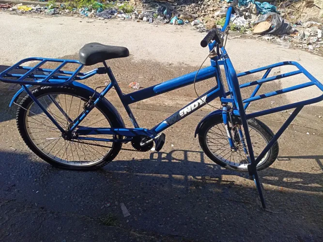 Bicicleta de carga
