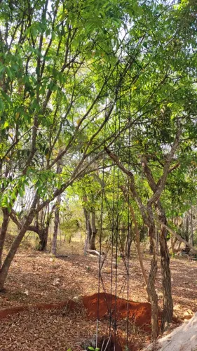Imóvel a venda com 4000 m2 na Ecovila Santa BrancaTerezópolis de Goiás em condomínio suste