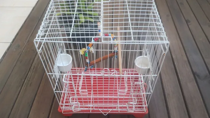 Vendo gaiola para calopsita contato *
