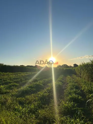 Fazenda em Guapó-GO