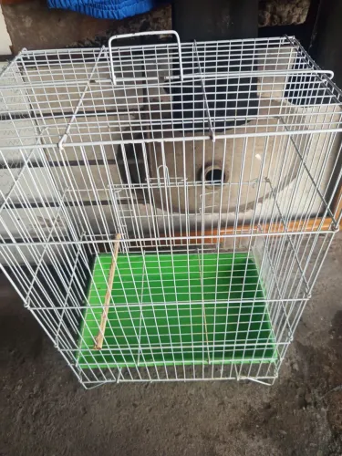 Gaiola para hamster 