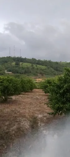 OPORTUNIDADE ÚNICA, SÍTIO EM QUEIMADAS VITÓRIA 