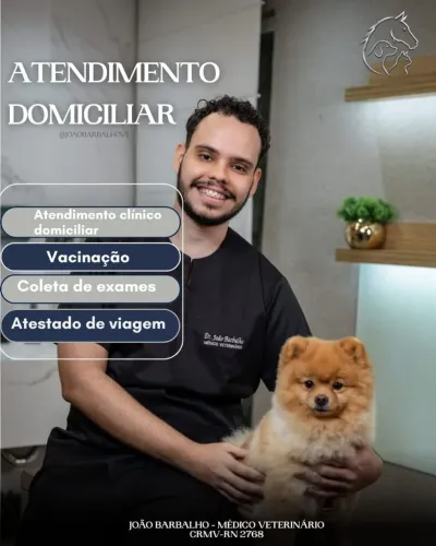 Atendimento Veterinário Domiciliar