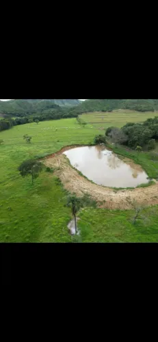 Fazenda 45 alqueires oportunidade Vila Propício GO a 195km de Goiânia
