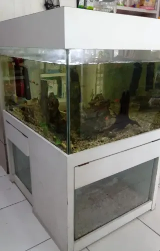 Aquário 340 litros