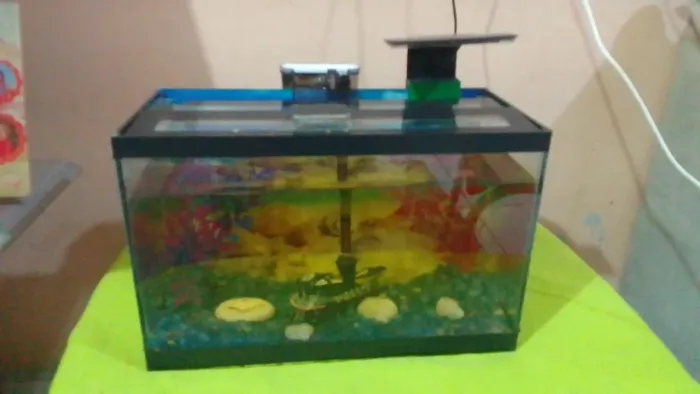 Vendo  aquário completo de 13 litros
