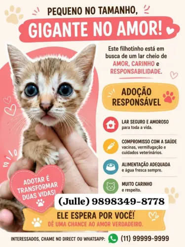 Adoção responsável