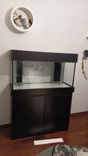 Aquario 120x50x50 300 litros