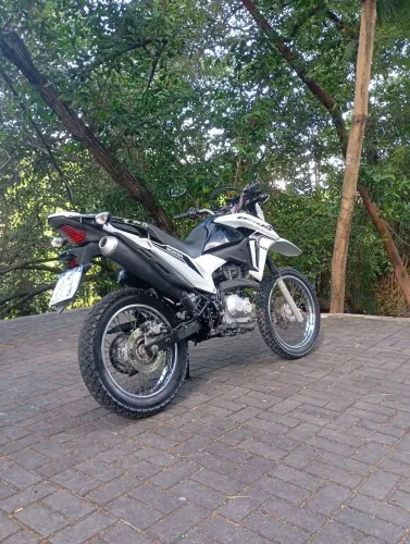 Honda Bros 2023