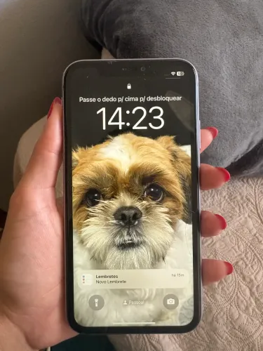 iPhone 11