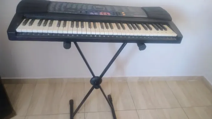 Teclado Casio Sandy e Junior