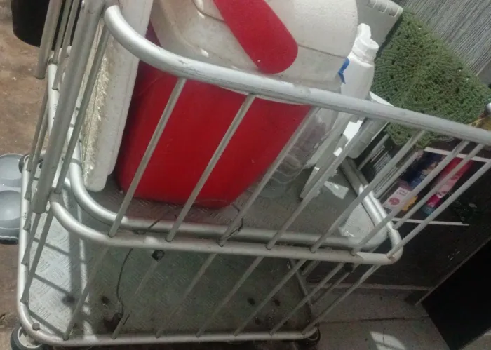 Carinho pra lanche