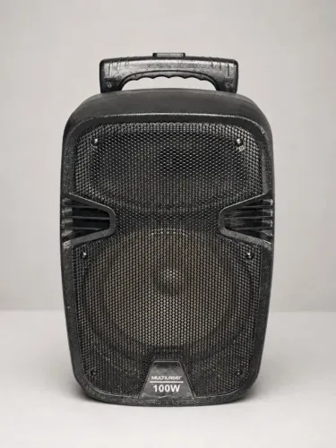 Caixa de Som Amplificada Multilaser SP258 100W RMS - Revisada