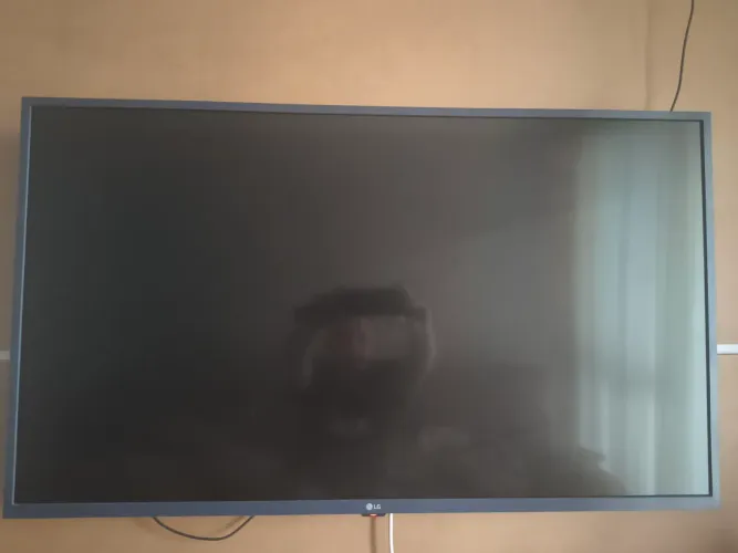 TV LG 43 polegadas funcionando perfeitamente