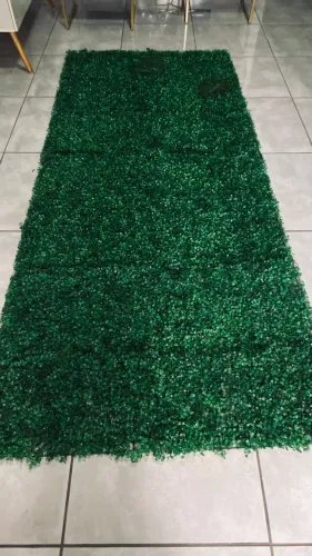 Jardim vertical ( Placa Buchinho) 