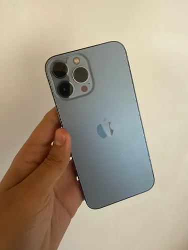 iPhone 13 Pro Max + Capinhas