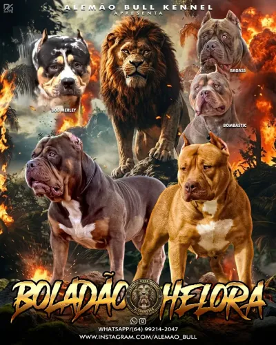 Filhotes de Pit Monster 