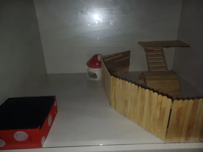 terrário para roedores