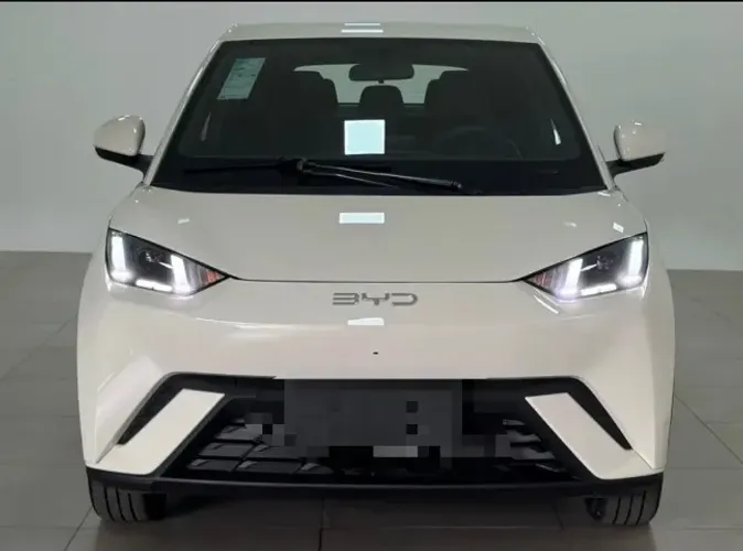 BYD Dolphin Mini (Elétrico) 2026