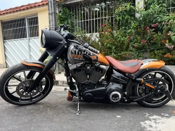 Harley Davidson customizada custom