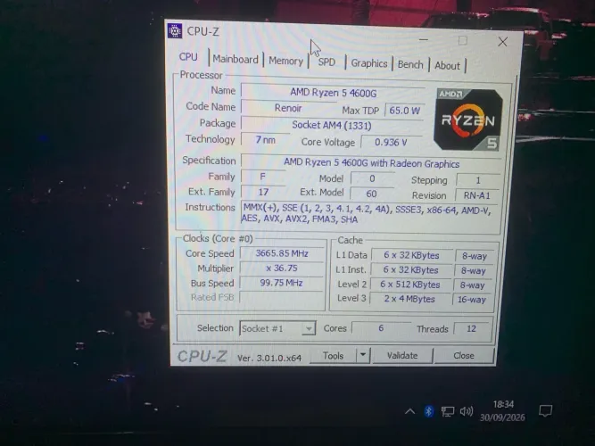 Ryzen 5 4600G