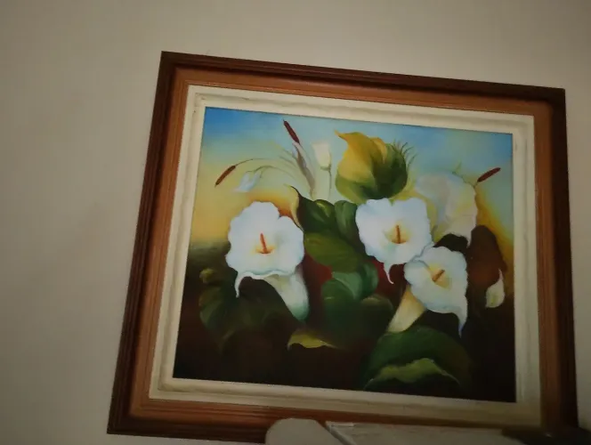 Vendo quadro decorativo de natureza
