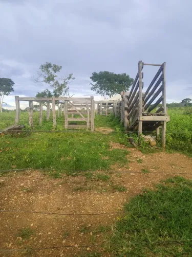 Fazenda próxima do quebra linha 