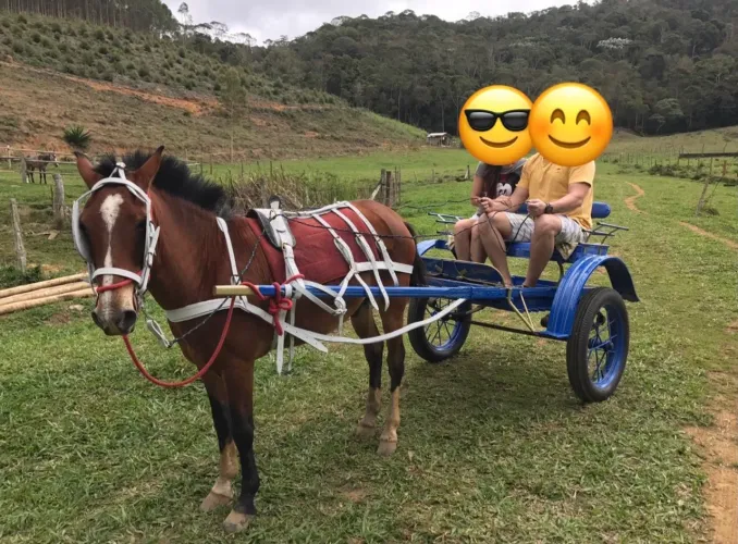 Charrete para cavalo