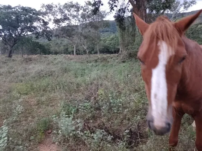 Sitio Buritis MG muito bem estruturado escriturado muita água