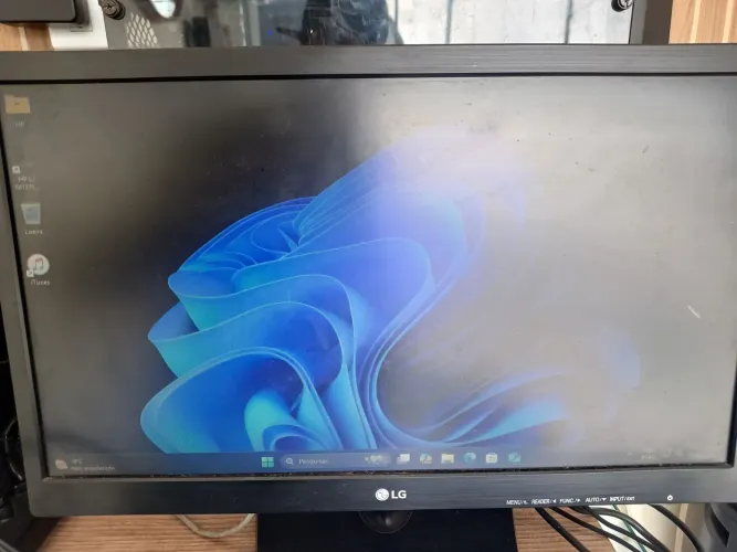 Monitor lg 19