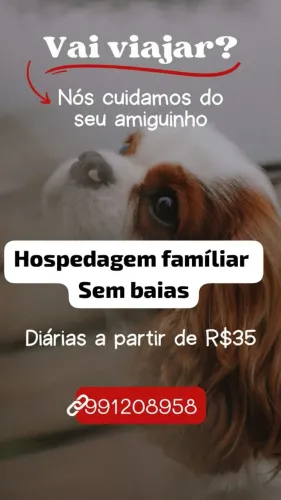 Hospedagem Pet