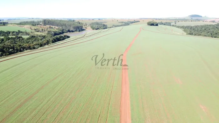 Fazenda à Venda, 1666 hectares  Taquarituba/SP