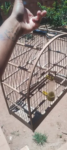 Gaiola para pássaros e aves