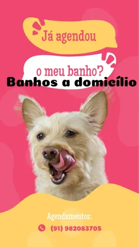 Banho a domicílio