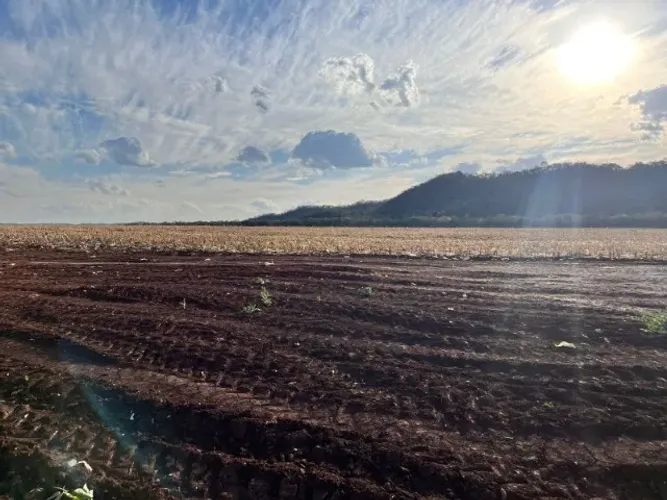 Área de lavoura em Bonito Ms