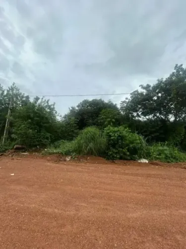 LOTE A VENDA NO SETOR INDUSTRIAL 512 SUL EM FRENTE AO PARQUE CESAMAR