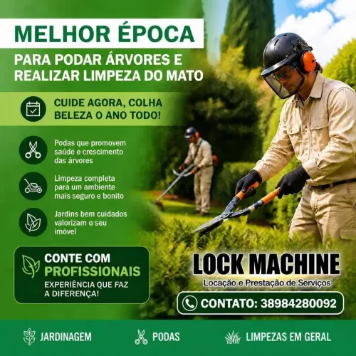 Limpeza de lotes e jardinagem 
