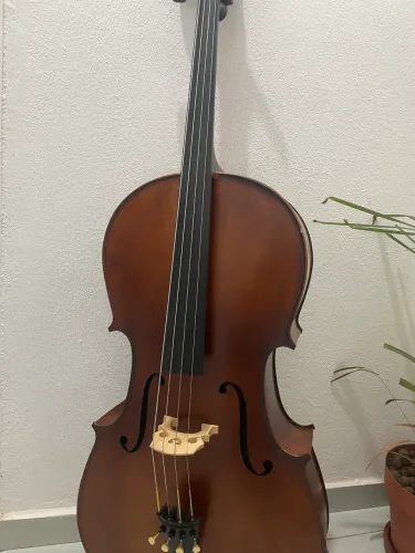 Violoncelo Eagle 300