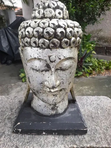 Antiga escultura Cabeça de Buda ( Madeira )