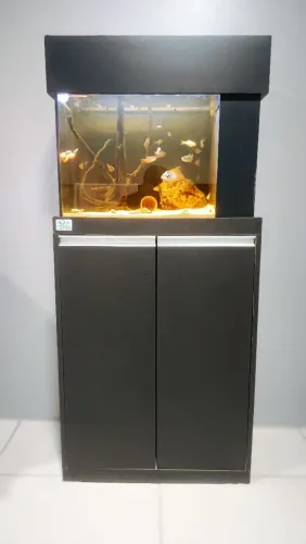 Aquário completo