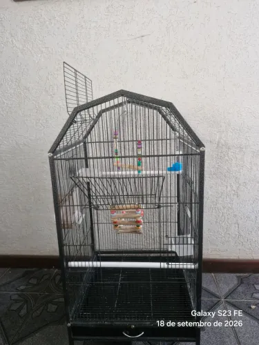 Gaiola de passarinho top
