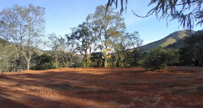 Terreno à venda, 6000 m² por R$ 300.000,00 - Centro - São Francisco Xavier/SP