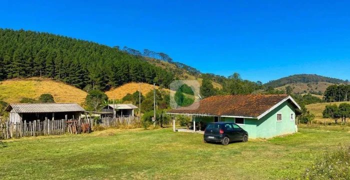 Sítio com 4 dormitórios à venda, 6000 m² por R$ 590.000,00 - Zona Rural - Santo Antônio do