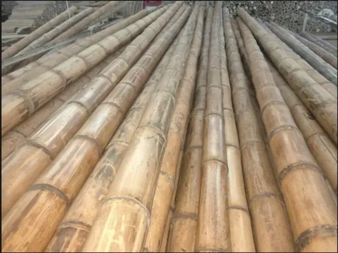 Bambu Guadua tratado com diâmetros variados pronta entrega